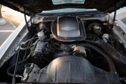 										1979 Pontiac Firebird Trans Am 10th Anniversary Edition full									