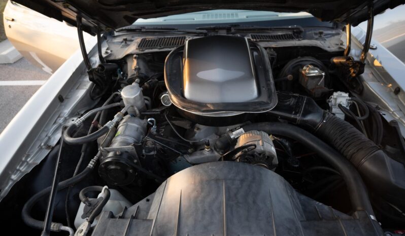 								1979 Pontiac Firebird Trans Am 10th Anniversary Edition full									