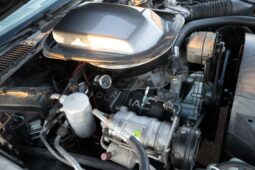 										1979 Pontiac Firebird Trans Am 10th Anniversary Edition full									