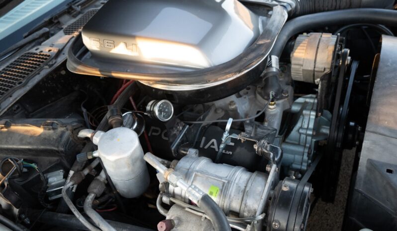 								1979 Pontiac Firebird Trans Am 10th Anniversary Edition full									