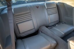 										1979 Pontiac Firebird Trans Am 10th Anniversary Edition full									