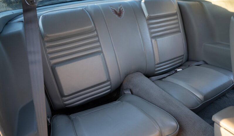 								1979 Pontiac Firebird Trans Am 10th Anniversary Edition full									