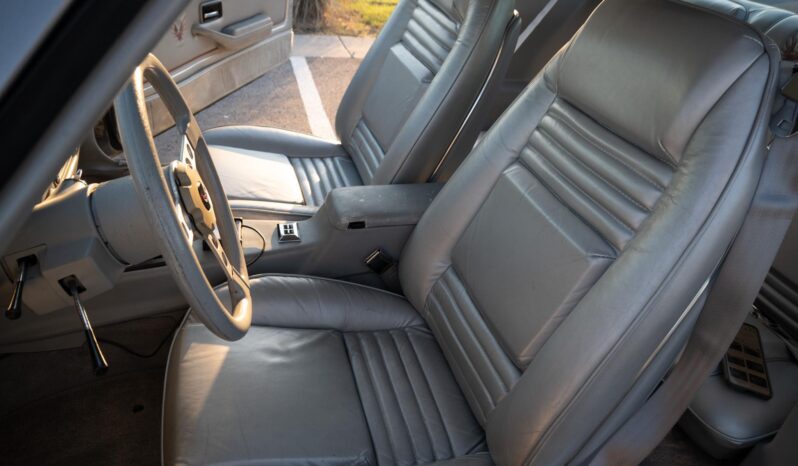 								1979 Pontiac Firebird Trans Am 10th Anniversary Edition full									