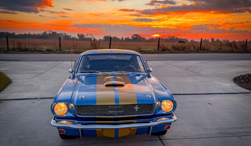 								1965 Ford Mustang Fastback full									