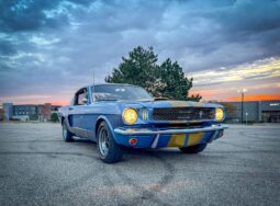 										1965 Ford Mustang Fastback full									