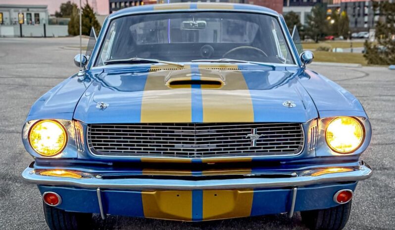 								1965 Ford Mustang Fastback full									