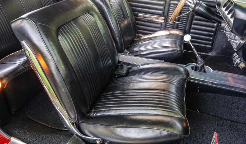 								1964 Pontiac GTO Convertible full									