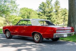										1964 Pontiac GTO Convertible full									