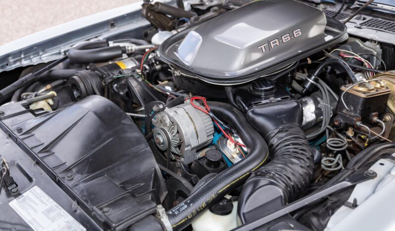 								1979 Pontiac Firebird Trans Am 10th Anniversary Edition full									