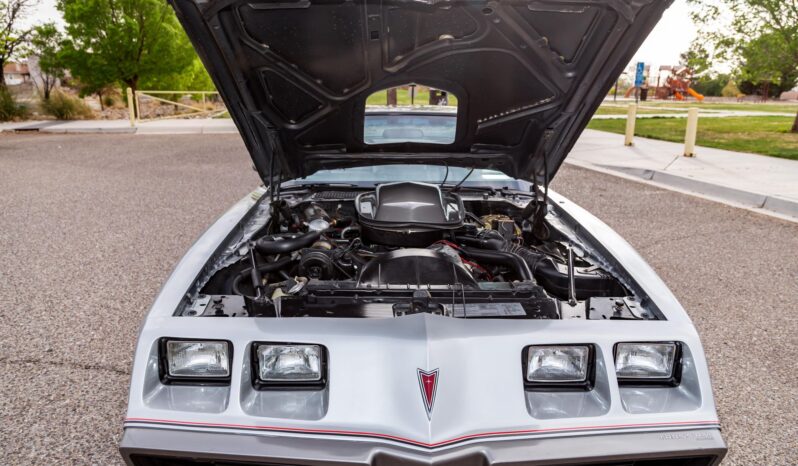 								1979 Pontiac Firebird Trans Am 10th Anniversary Edition full									