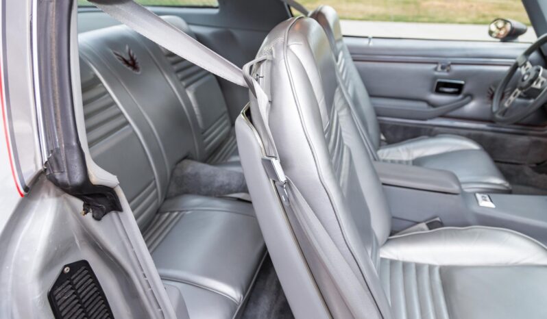 								1979 Pontiac Firebird Trans Am 10th Anniversary Edition full									