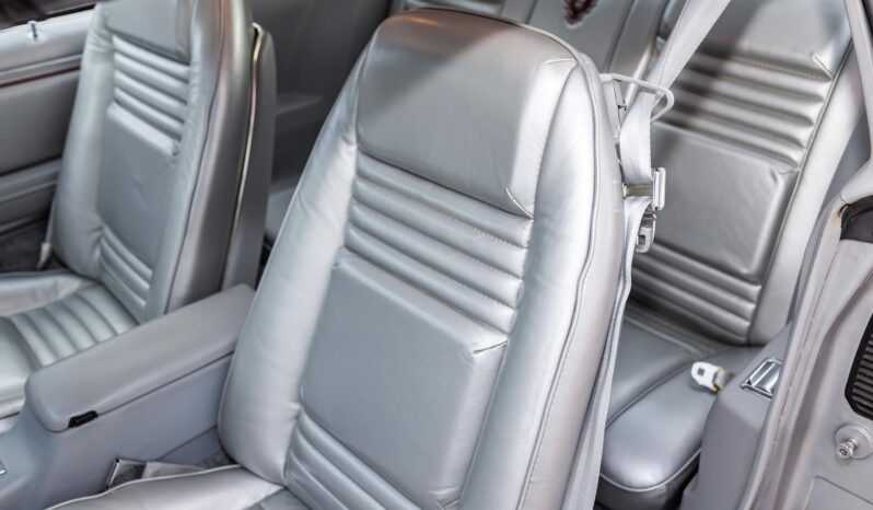 								1979 Pontiac Firebird Trans Am 10th Anniversary Edition full									