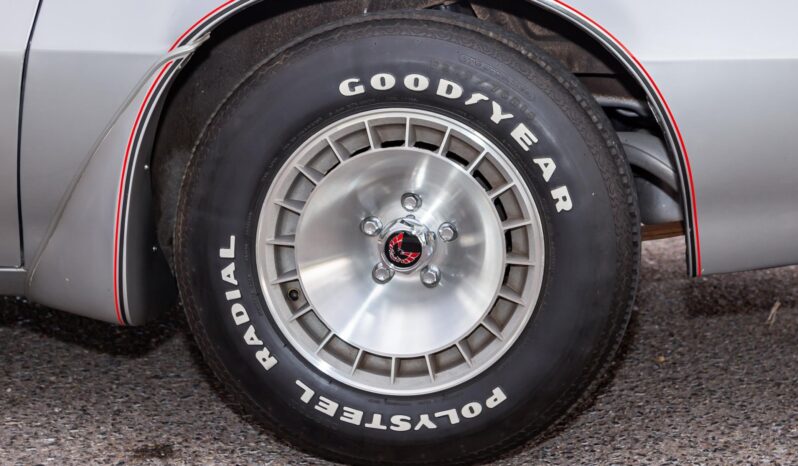 								1979 Pontiac Firebird Trans Am 10th Anniversary Edition full									