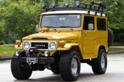 										1981 Toyota Land Cruiser full									