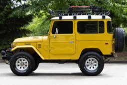 										1981 Toyota Land Cruiser full									