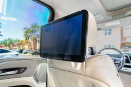 										2022 Cadillac Escalade ESV 4WD Platinum full									