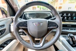 										2022 Cadillac Escalade ESV 4WD Platinum full									