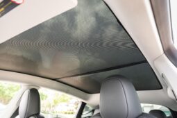 										2023 Tesla Model Y Performance full									