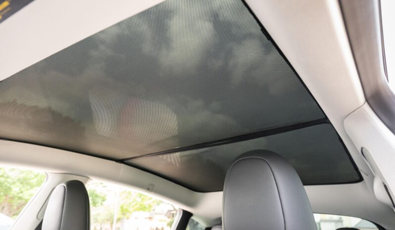 								2023 Tesla Model Y Performance full									