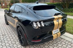 										2023 Ford Mustang Mach-E Shelby GT-H full									