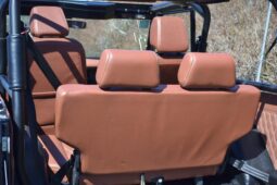 1969 Ford Bronco 302