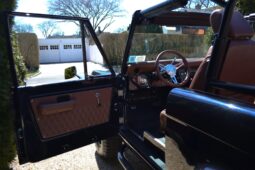 										1969 Ford Bronco 302 full									