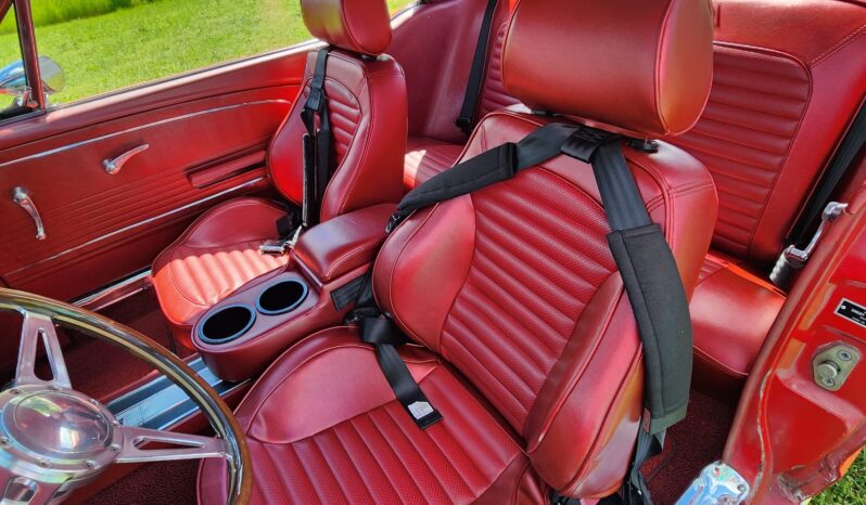 								1966 Ford Mustang Coupe full									