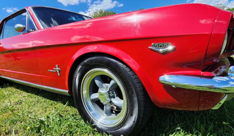 								1966 Ford Mustang Coupe full									