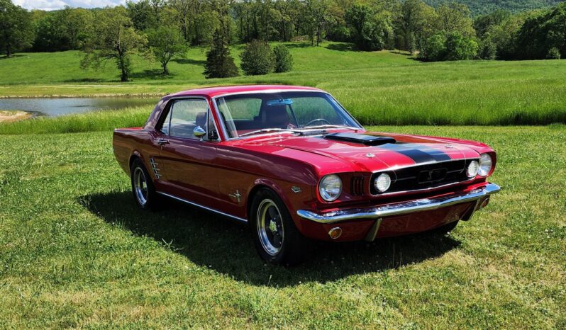 								1966 Ford Mustang Coupe full									