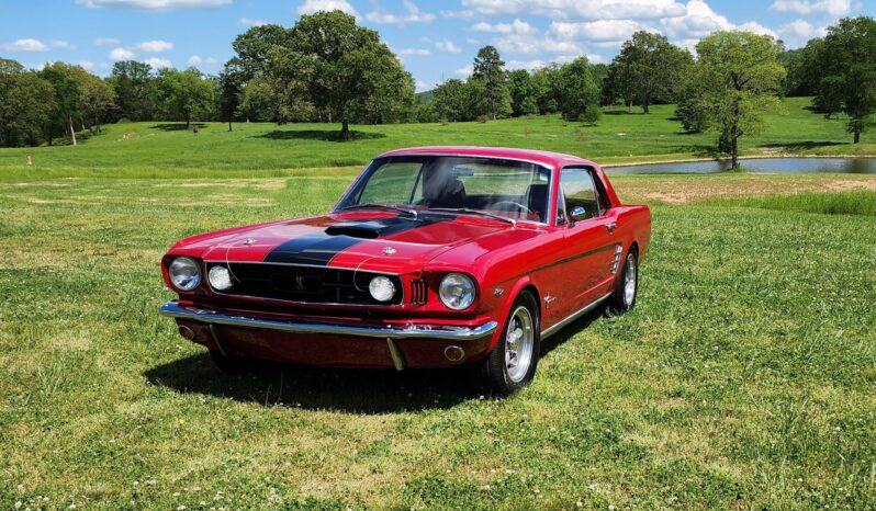 								1966 Ford Mustang Coupe full									