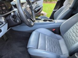 										2022 Audi e-tron GT full									