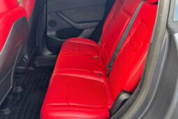 										2023 Tesla Model Y Performance full									