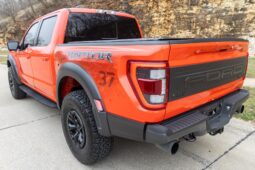 										2023 Ford F-150 Raptor full									