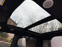 										2022 Ford F-150 Lightning Platinum full									