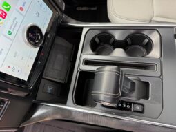 										2022 Ford F-150 Lightning Platinum full									