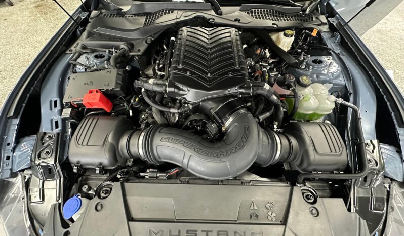 								2024 Ford Mustang Dark Horse full									