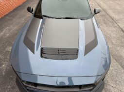 										2024 Ford Mustang Dark Horse full									