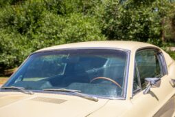 										1967 Mustang GTA Fastback full									