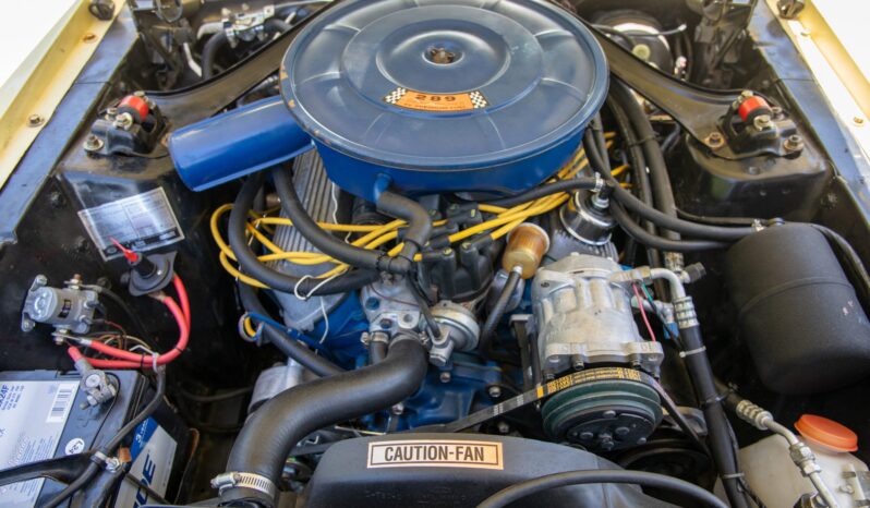 								1967 Mustang GTA Fastback full									