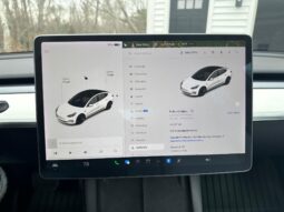 										2022 Tesla Model 3 Long Range AWD full									