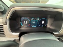 										2022 Ford F-150 Platinum 4×4 full									