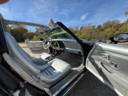 										1978 Chevrolet Corvette Pace Car Edition L82 full									