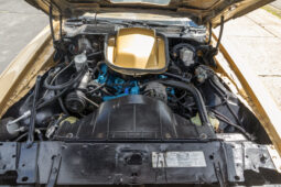 1978 Pontiac Firebird Trans Am Gold Special Edition