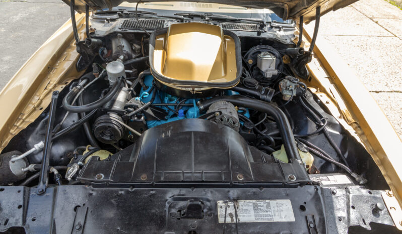 								1978 Pontiac Firebird Trans Am Gold Special Edition full									