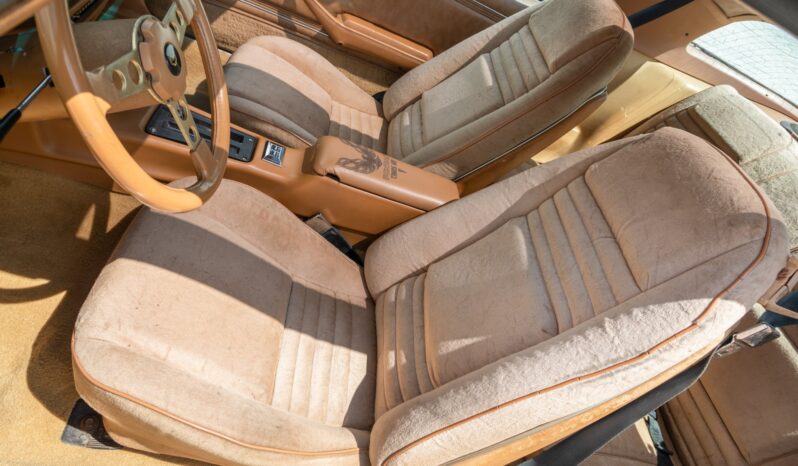 								1978 Pontiac Firebird Trans Am Gold Special Edition full									