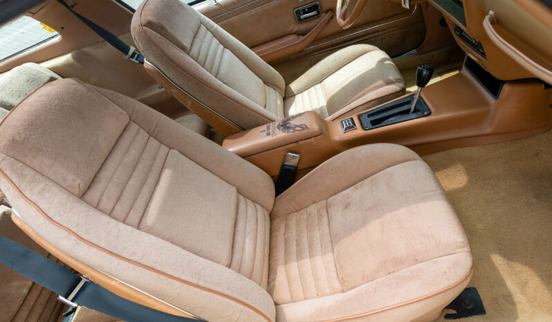 								1978 Pontiac Firebird Trans Am Gold Special Edition full									