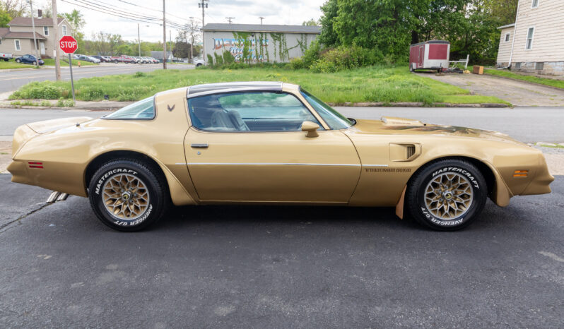 								1978 Pontiac Firebird Trans Am Gold Special Edition full									