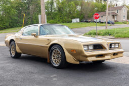 										1978 Pontiac Firebird Trans Am Gold Special Edition full									