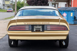 										1978 Pontiac Firebird Trans Am Gold Special Edition full									