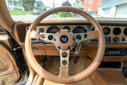 										1978 Pontiac Firebird Trans Am Gold Special Edition full									